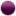violet blackberry